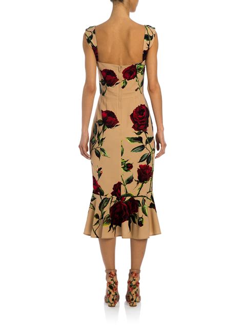 dolce gabbana rose print midi dress|dolce gabbana charmeuse dress.